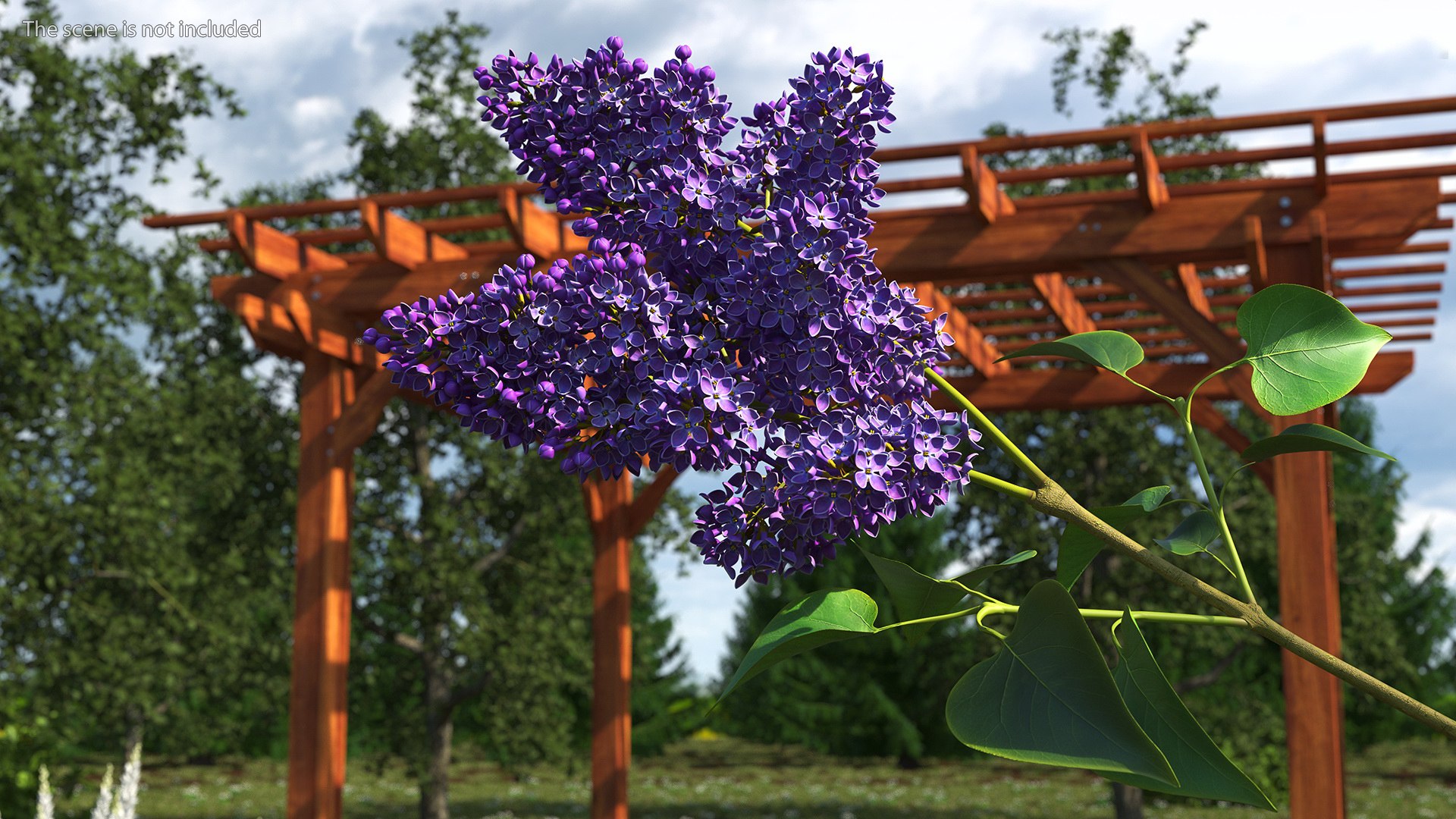 3D Branches with Flowers Collection 2 model https://p.turbosquid.com/ts-thumb/Vv/qU8Tt7/jN/brancheswithflowerscollection23dsmodel026/jpg/1711224685/1920x1080/fit_q87/dbdb3d49864e8a0ba37347bd0a5d2056343d68ec/brancheswithflowerscollection23dsmodel026.jpg