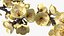 Branches with Flowers Collection 2