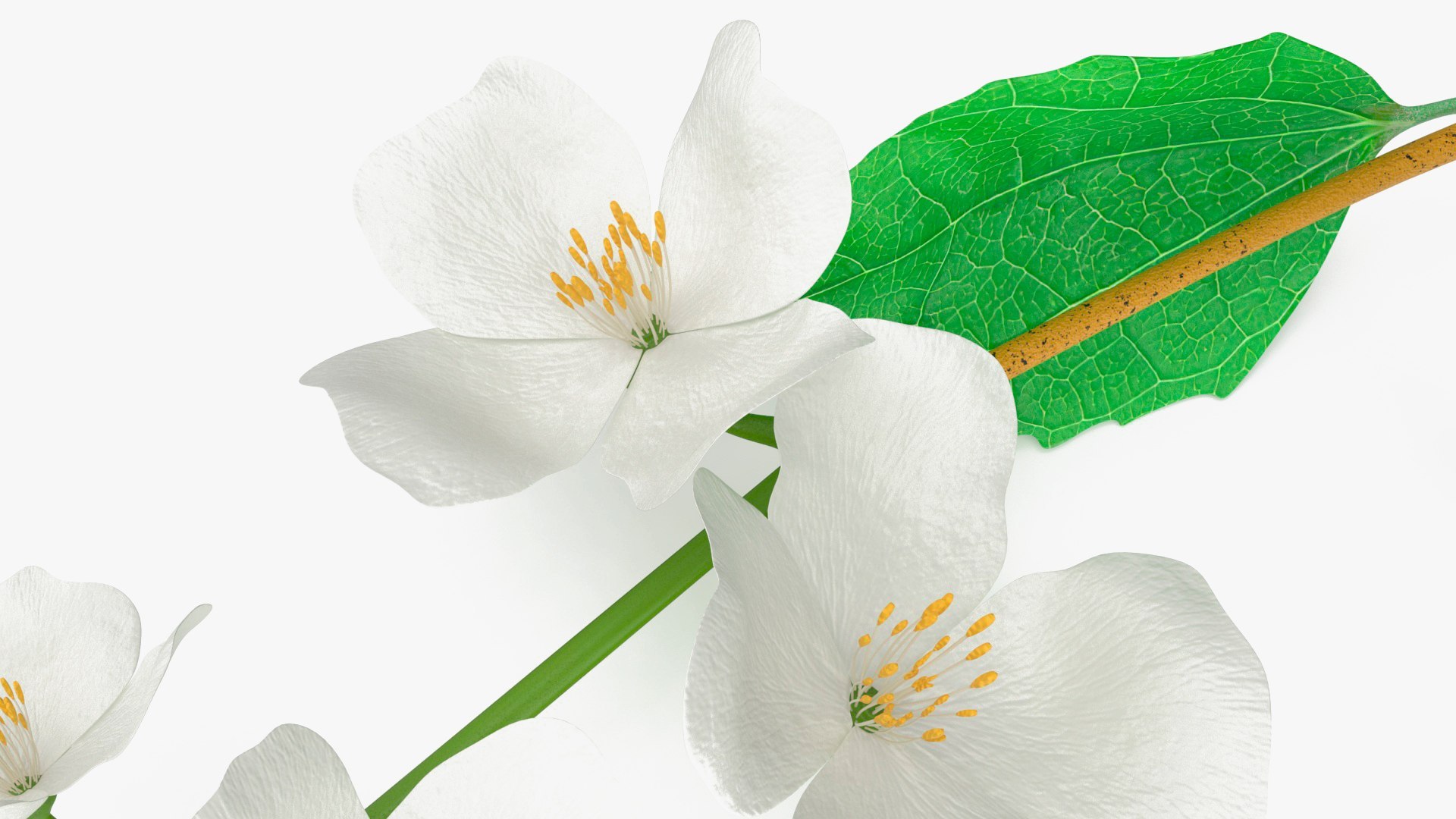 3D Branches with Flowers Collection 2 model https://p.turbosquid.com/ts-thumb/Vv/qU8Tt7/ll/brancheswithflowerscollection23dsmodel024/jpg/1711224675/1920x1080/fit_q87/6a339a56b8ba842b79bce726a26430ee79437b58/brancheswithflowerscollection23dsmodel024.jpg