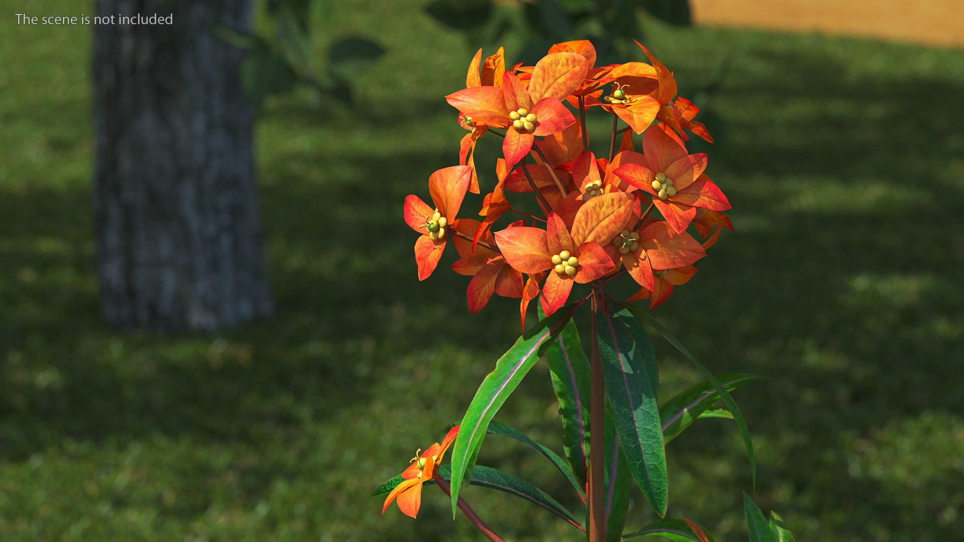 3D Branches with Flowers Collection 2 model https://p.turbosquid.com/ts-thumb/Vv/qU8Tt7/mN/brancheswithflowerscollection23dsmodel004/jpg/1711224584/1920x1080/fit_q87/1c32d119fd2765c379073e86706551e25b23ee2b/brancheswithflowerscollection23dsmodel004.jpg