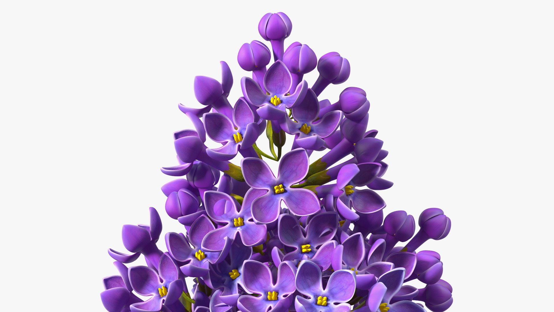 3D Branches with Flowers Collection 2 model https://p.turbosquid.com/ts-thumb/Vv/qU8Tt7/ni/brancheswithflowerscollection23dsmodel036/jpg/1711224732/1920x1080/fit_q87/8ae27eff157b6f48be55b086443842e729de9b6b/brancheswithflowerscollection23dsmodel036.jpg