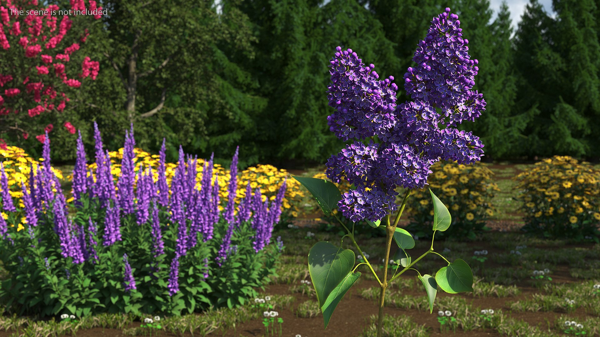 3D Branches with Flowers Collection 2 model https://p.turbosquid.com/ts-thumb/Vv/qU8Tt7/qp/brancheswithflowerscollection23dsmodel027/jpg/1711224690/1920x1080/fit_q87/159ce35e63b66470a41ac2226c79c27476ba4b3f/brancheswithflowerscollection23dsmodel027.jpg