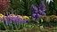 Branches with Flowers Collection 2