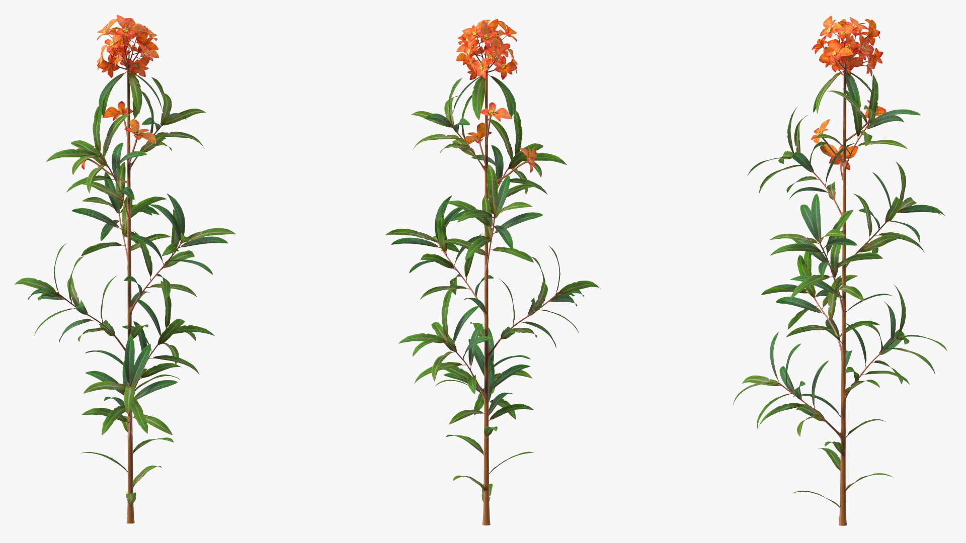 3D Branches with Flowers Collection 2 model https://p.turbosquid.com/ts-thumb/Vv/qU8Tt7/sK/brancheswithflowerscollection23dsmodel009/jpg/1711224611/1920x1080/fit_q87/6db3f69d1b48c643fa6f64baeacc3cf9508fef45/brancheswithflowerscollection23dsmodel009.jpg