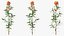 Branches with Flowers Collection 2