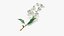 Branches with Flowers Collection 2