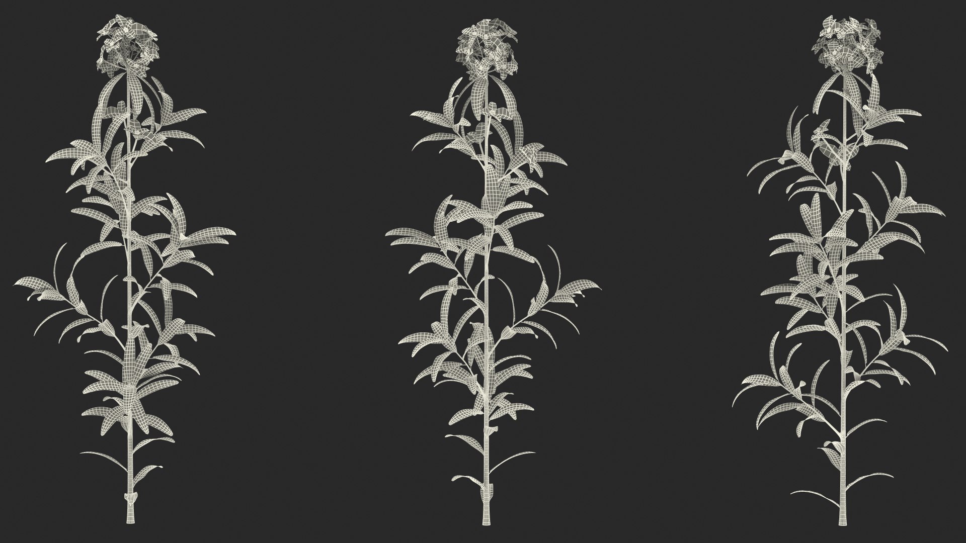 3D Branches with Flowers Collection 2 model https://p.turbosquid.com/ts-thumb/Vv/qU8Tt7/yv/brancheswithflowerscollection23dsmodel054/jpg/1711224815/1920x1080/fit_q87/ab75a9e3cae5ad064f1138f114b69f87d5031fa2/brancheswithflowerscollection23dsmodel054.jpg