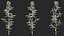 Branches with Flowers Collection 2