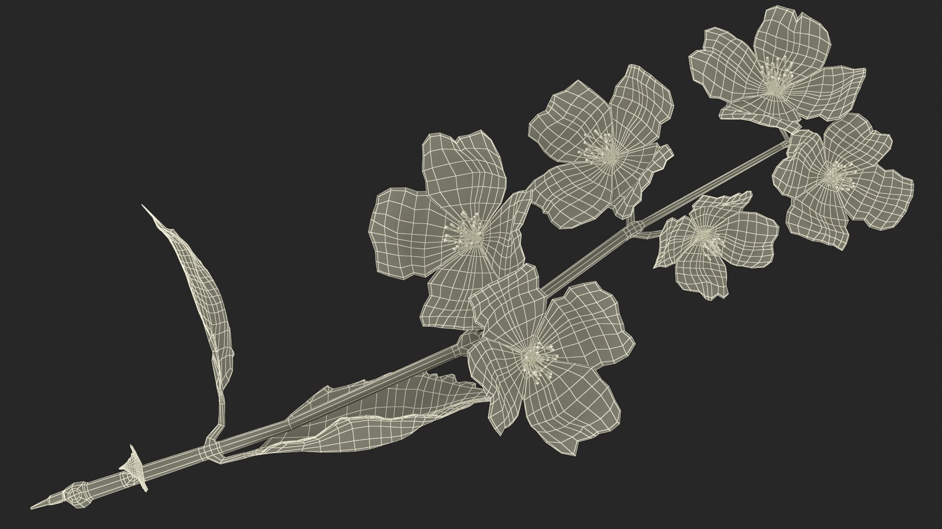 3D Branches with Flowers Collection 2 model https://p.turbosquid.com/ts-thumb/Vv/qU8Tt7/yy/brancheswithflowerscollection23dsmodel055/jpg/1711224818/1920x1080/fit_q87/6c596d9b7378173cb5056b02733c15757c2ae4d4/brancheswithflowerscollection23dsmodel055.jpg