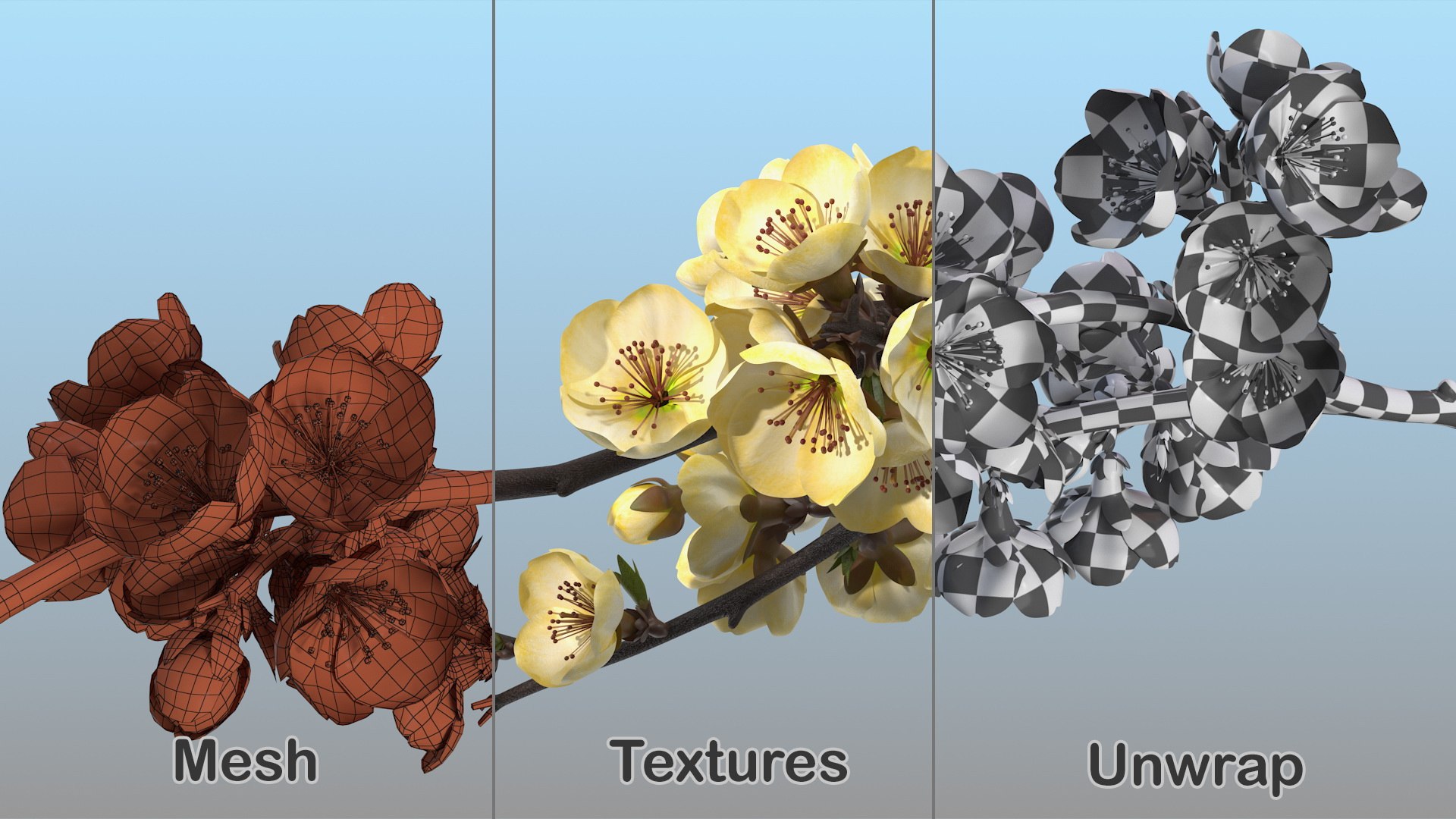 3D Branches with Flowers Collection 2 model https://p.turbosquid.com/ts-thumb/Vv/qU8Tt7/zq/brancheswithflowerscollection23dsmodel044/jpg/1711224769/1920x1080/fit_q87/b1afd41e96ad378ee71bd4d13ae2980a7613bbc0/brancheswithflowerscollection23dsmodel044.jpg