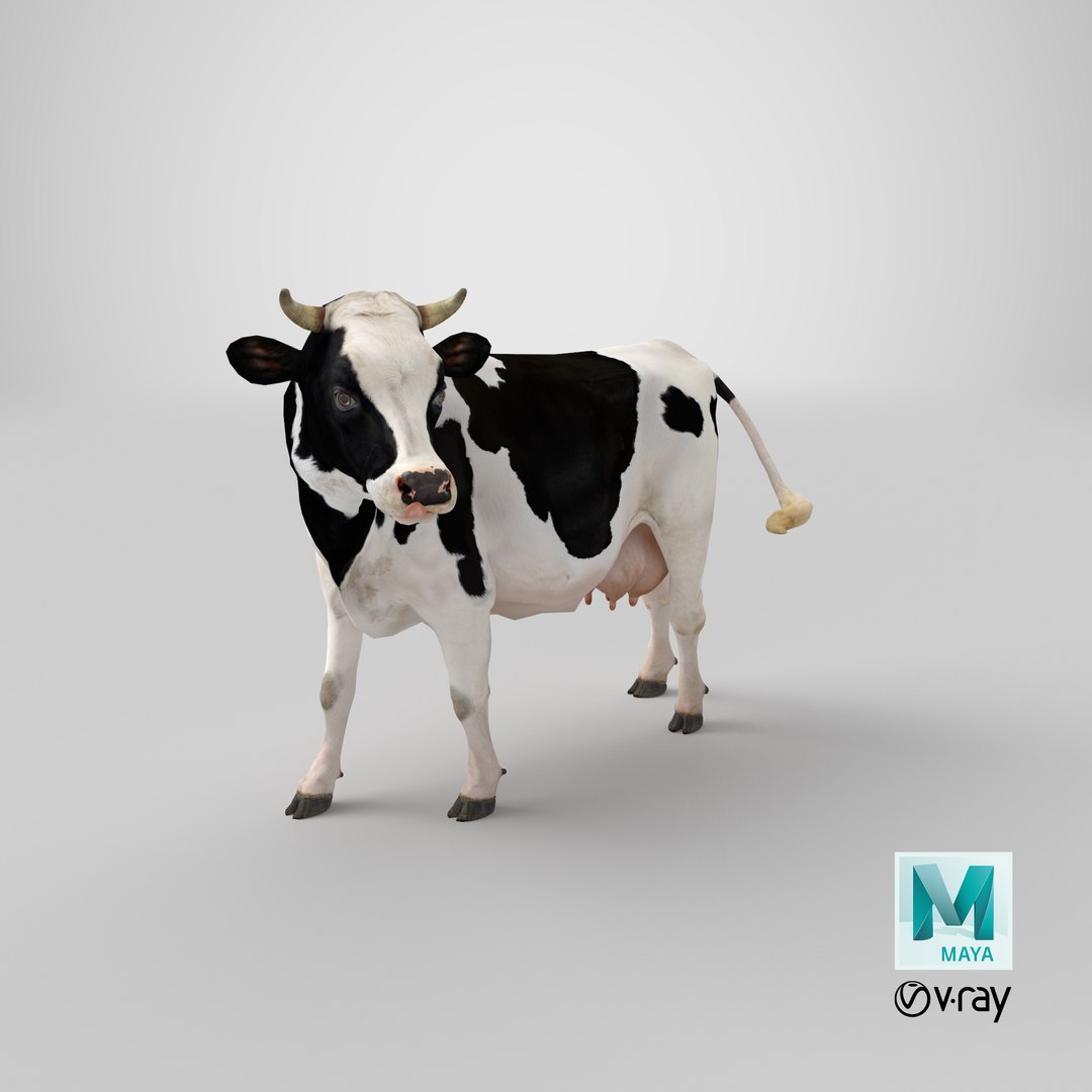 3D model holstein cow https://p.turbosquid.com/ts-thumb/Vv/t2C9nl/Ar/stemcell_maya_vray_render/png/1650619998/1920x1080/fit_q87/2ef94cb0a71dc45f266551f90bdd30a25cdf92b3/stemcell_maya_vray_render.jpg