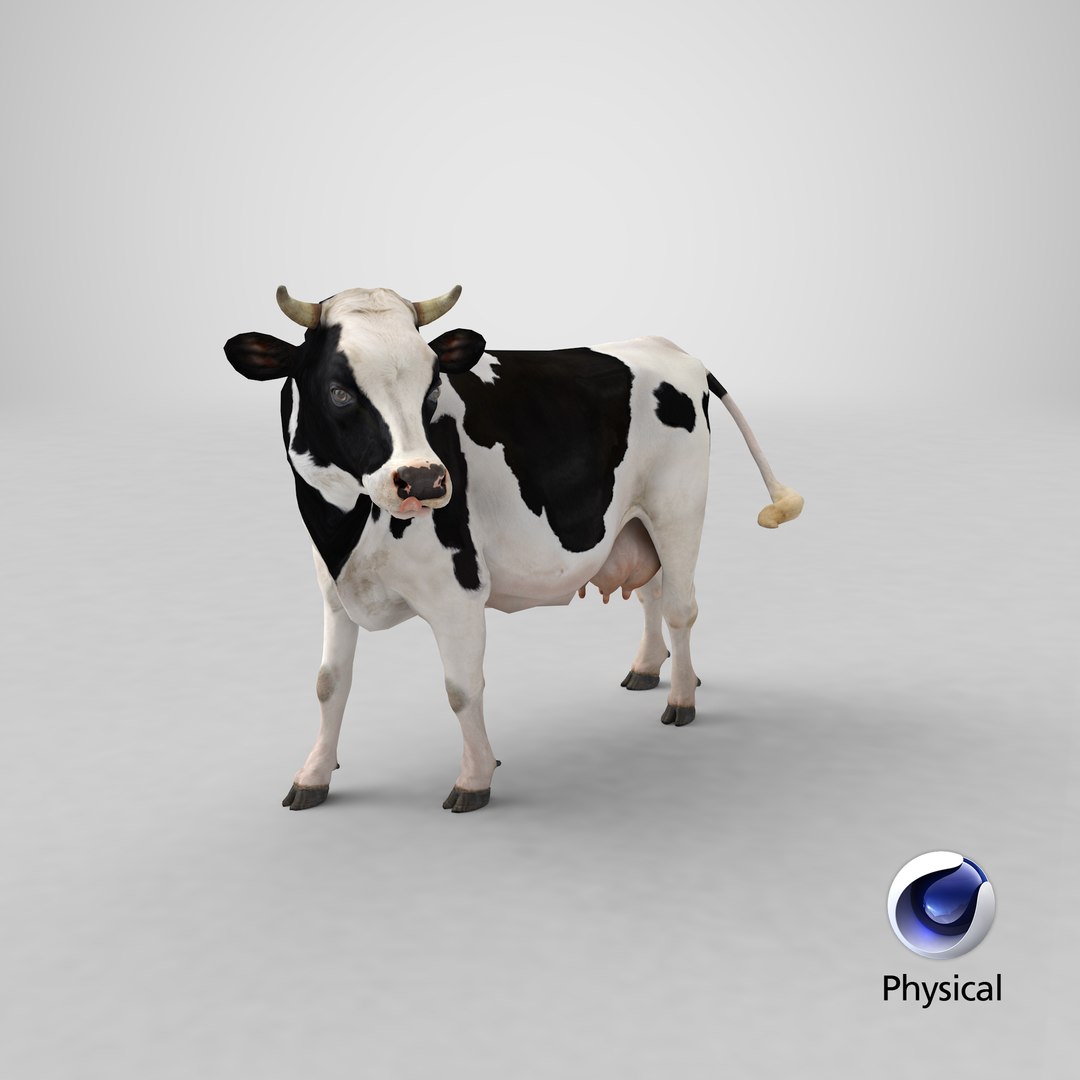 3D model holstein cow https://p.turbosquid.com/ts-thumb/Vv/t2C9nl/BN/stemcell_cinema_4d_physical_render/png/1650619980/1920x1080/fit_q87/da8c5132b87951f30e42762974bc43083730d018/stemcell_cinema_4d_physical_render.jpg