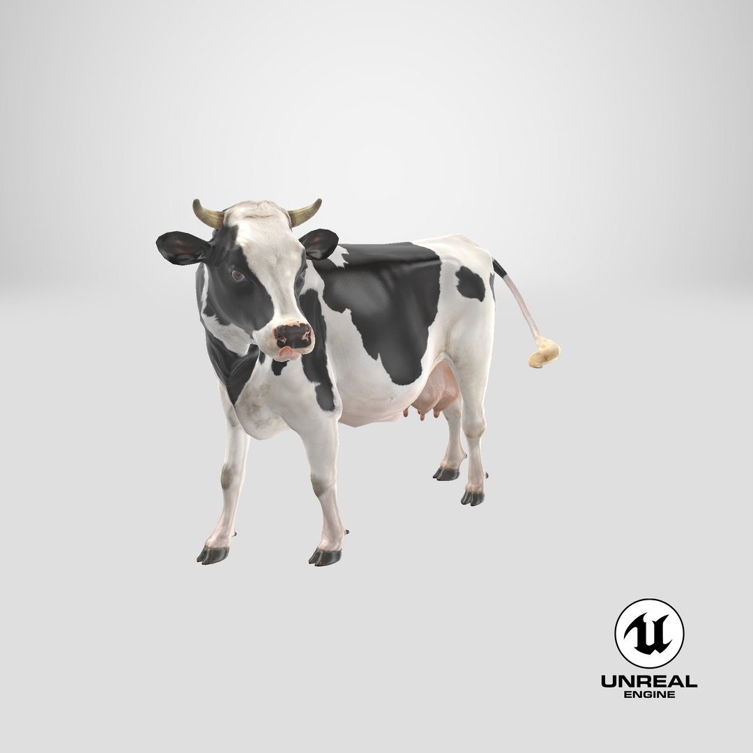 3D model holstein cow https://p.turbosquid.com/ts-thumb/Vv/t2C9nl/BS/stemcell_unreal_render/png/1650619987/1920x1080/fit_q87/bca0ac694b09caeb02d12a60fa14970224b5e727/stemcell_unreal_render.jpg