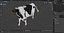 Holstein Cow