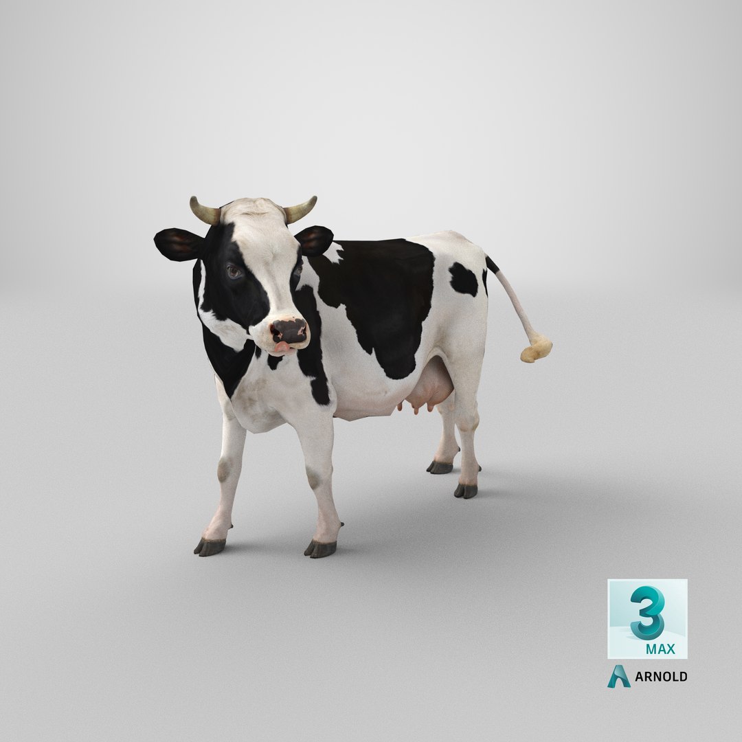 3D model holstein cow https://p.turbosquid.com/ts-thumb/Vv/t2C9nl/G2/stemcell_max_arnold_render/png/1650619989/1920x1080/fit_q87/4a98bf426934f08908bf032cb27923763c96d59f/stemcell_max_arnold_render.jpg