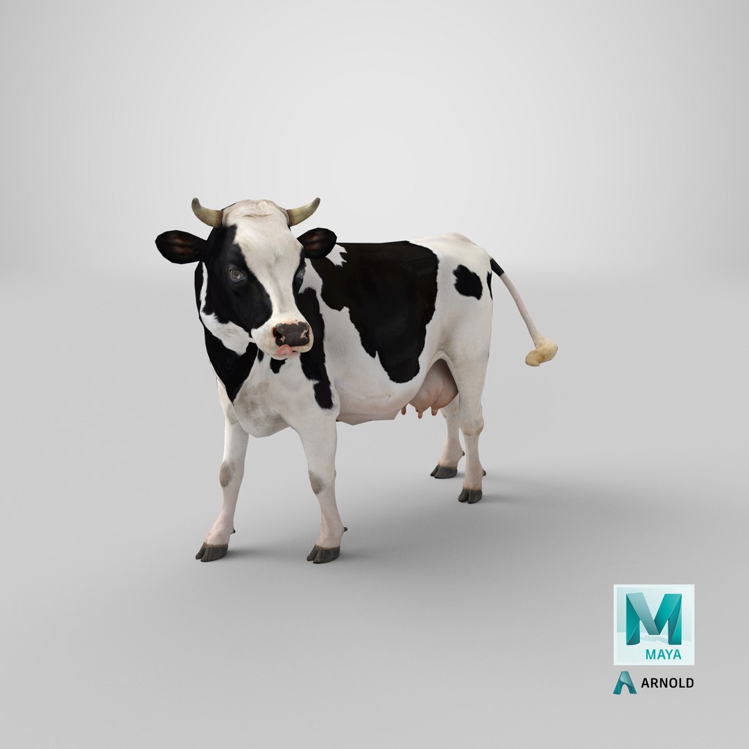 3D model holstein cow https://p.turbosquid.com/ts-thumb/Vv/t2C9nl/WE/stemcell_maya_arnold_render/png/1650619995/1920x1080/fit_q87/95cce5767d58b9f6445ee8efbcd49a2be2d9ba31/stemcell_maya_arnold_render.jpg