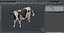 Holstein Cow