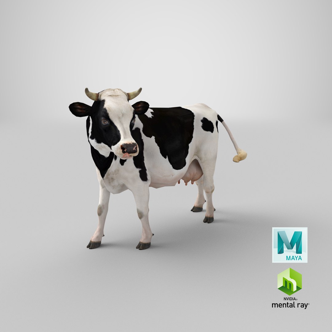 3D model holstein cow https://p.turbosquid.com/ts-thumb/Vv/t2C9nl/j6/stemcell_maya_mental_ray_render/png/1650619997/1920x1080/fit_q87/daa7f3a7c9095eb7639e39b56bd10bcefe868f73/stemcell_maya_mental_ray_render.jpg