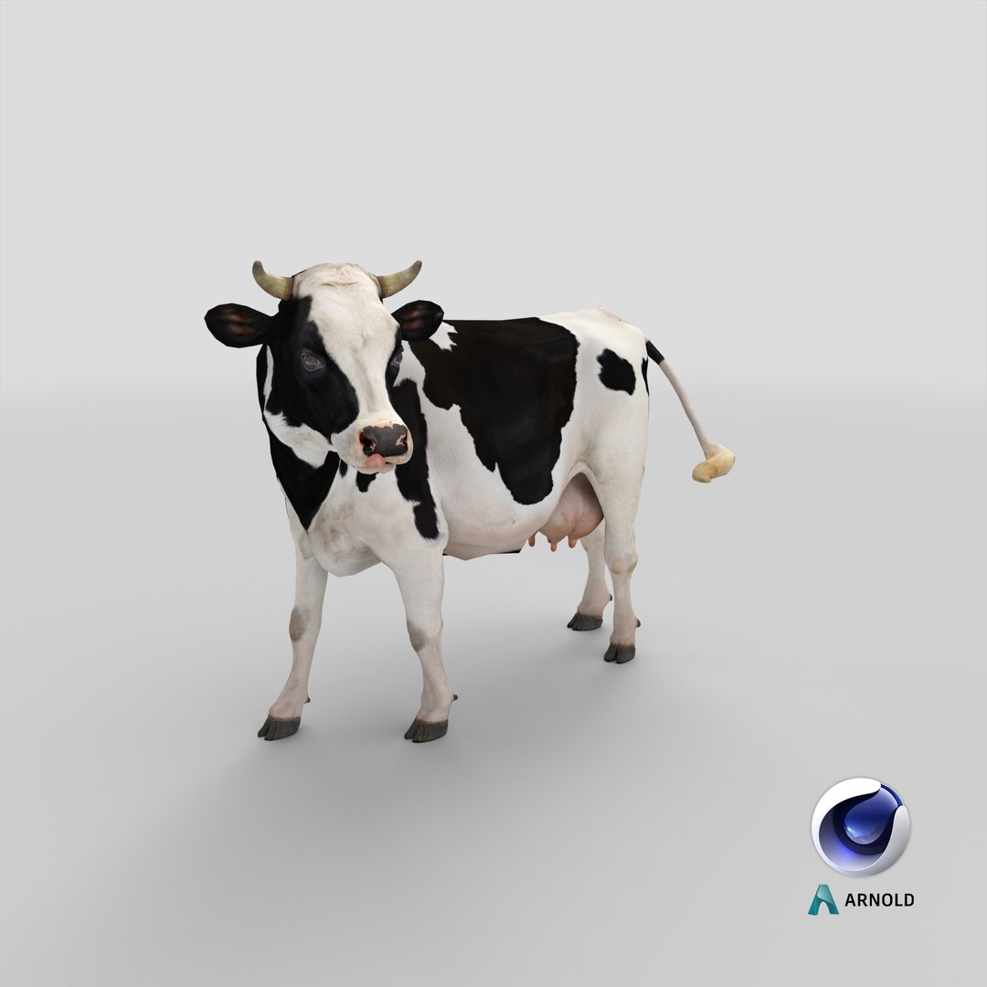 3D model holstein cow https://p.turbosquid.com/ts-thumb/Vv/t2C9nl/jJ/stemcell_cinema_4d_arnold_render/png/1650619982/1920x1080/fit_q87/2656da6e510364c343ea2c8957d92c9384d7d205/stemcell_cinema_4d_arnold_render.jpg