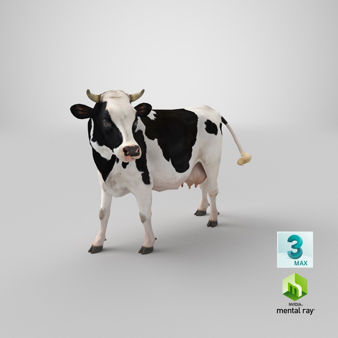 3D model holstein cow https://p.turbosquid.com/ts-thumb/Vv/t2C9nl/sn/stemcell_max_mental_ray_render/png/1650619991/1920x1080/fit_q87/fa5dc82d74634f9c876c3d78a9b33fcaf47994ce/stemcell_max_mental_ray_render.jpg
