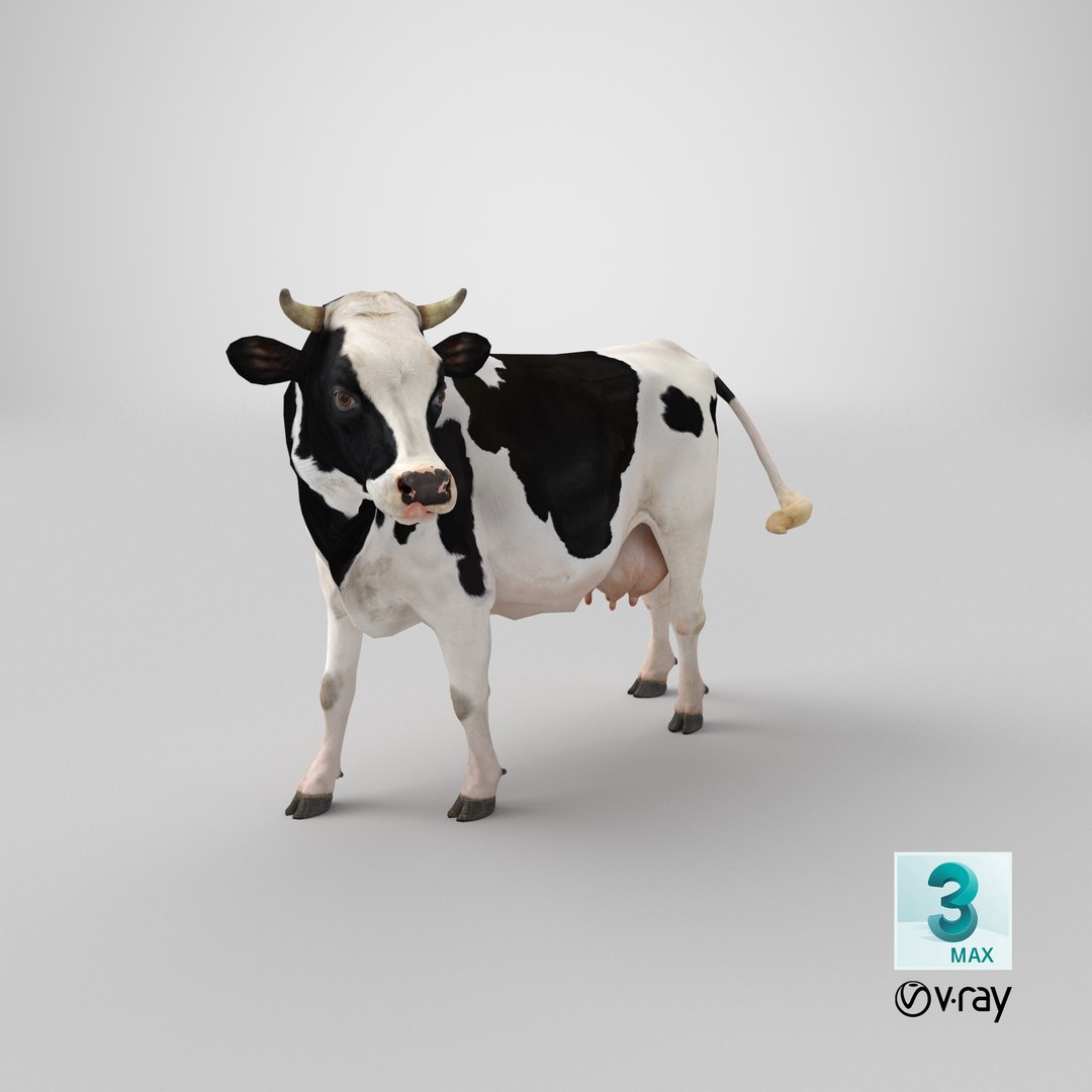 3D model holstein cow https://p.turbosquid.com/ts-thumb/Vv/t2C9nl/xV/stemcell_max_vray_render/png/1650619992/1920x1080/fit_q87/0e262c066b8f425887edce69e1b68cb453627da1/stemcell_max_vray_render.jpg