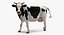 3D model holstein cow