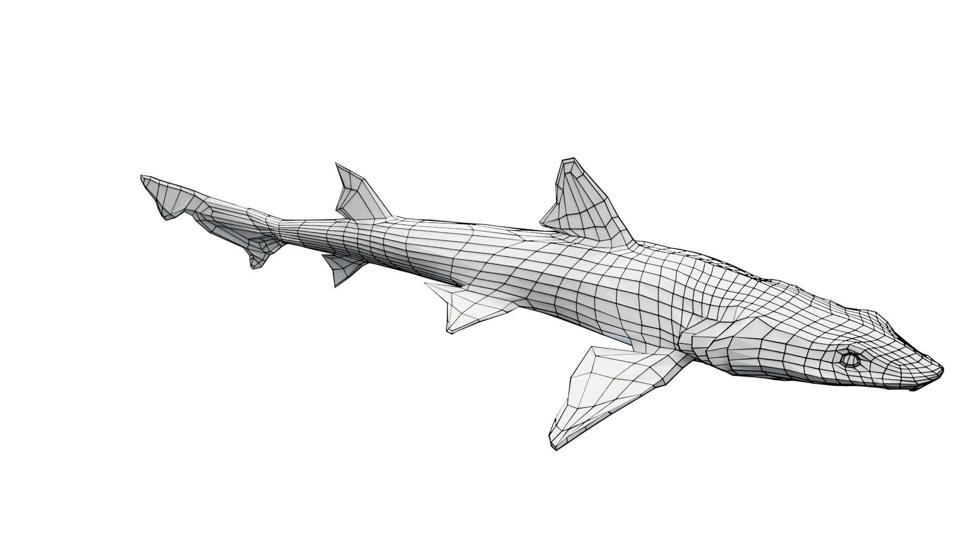 3D Smoothhound Shark - TurboSquid 2130865