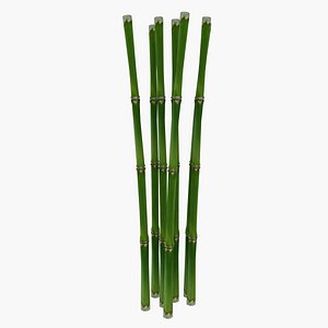3d fresh bamboo cane