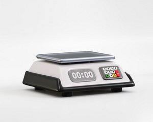 Digital Scale 3d Model 3D model