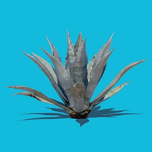 photo scanned 3d model