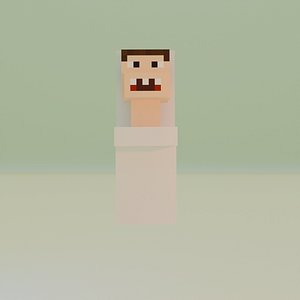 mine craft skibidi toilet