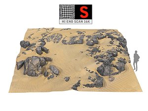 dune beach ground 16k 3D model
