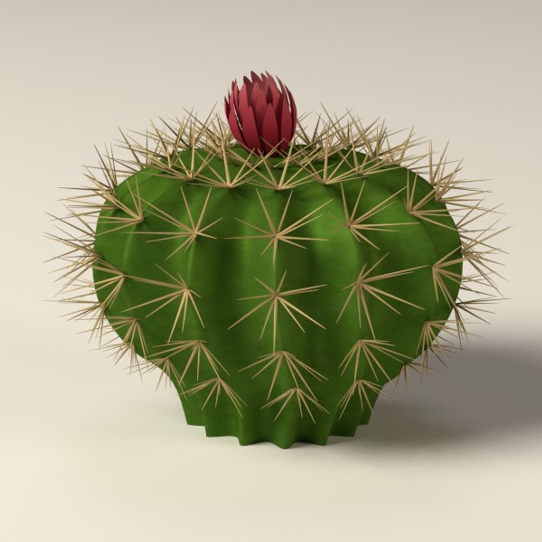 3d cactuses https://p.turbosquid.com/ts-thumb/Vx/KzVTo2/4ypsg1md/cactus07/jpg/1325864593/1920x1080/fit_q87/2f80558aee5d07d42a69b0ef36571680844b6684/cactus07.jpg