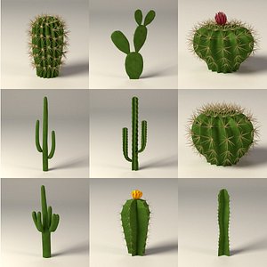 3d cactuses