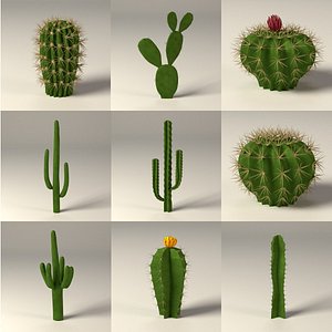 cactuses