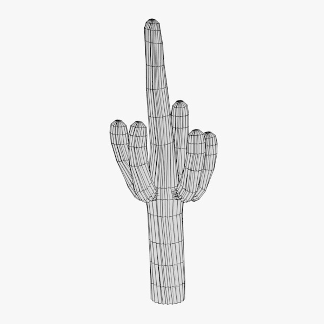 3d cactuses https://p.turbosquid.com/ts-thumb/Vx/KzVTo2/8lm8RkDy/cactus05w/jpg/1325864540/1920x1080/fit_q87/0698086fe745a9090e5a3611e2ec368fe82a1425/cactus05w.jpg