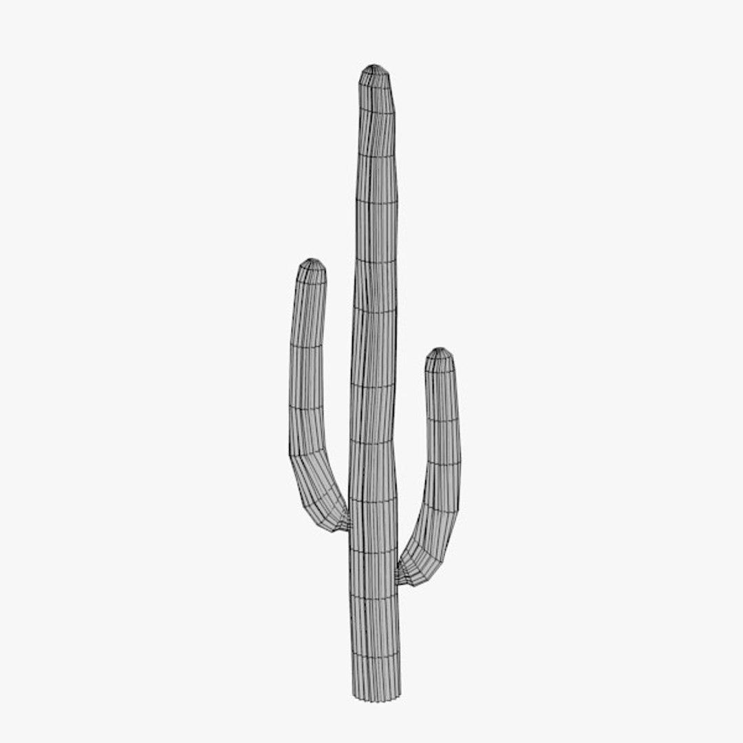 3d cactuses https://p.turbosquid.com/ts-thumb/Vx/KzVTo2/E6jKmYVe/cactus08w/jpg/1325864641/1920x1080/fit_q87/ae316af2ea6dd7ac4c477286e24509964c376e3b/cactus08w.jpg