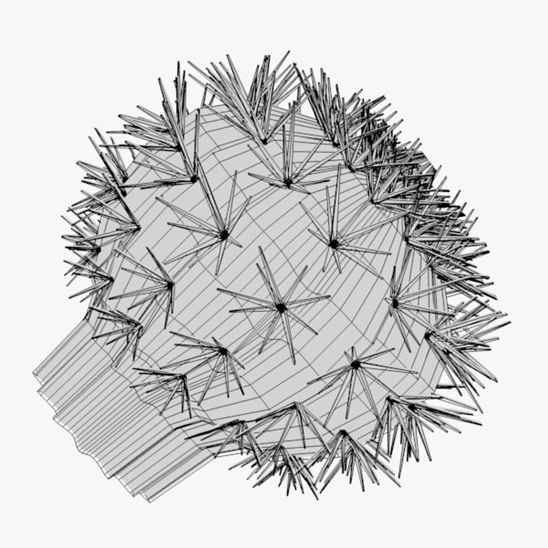 3d cactuses https://p.turbosquid.com/ts-thumb/Vx/KzVTo2/IMlMBBFH/cactus02w3/jpg/1325864453/1920x1080/fit_q87/ca637e73d79b6a67d59a73ef2baff5211285c9af/cactus02w3.jpg