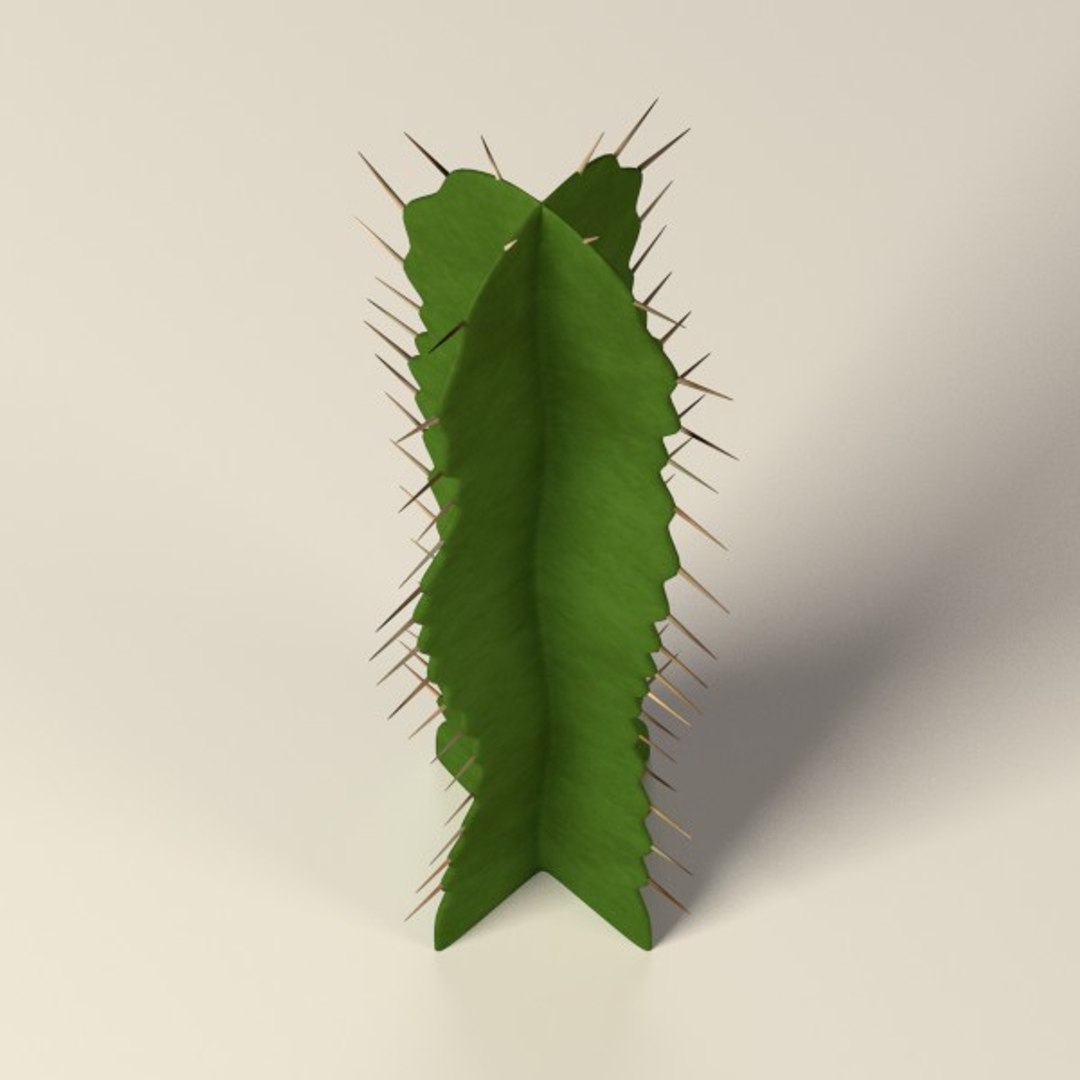 3d cactuses https://p.turbosquid.com/ts-thumb/Vx/KzVTo2/OrVJ5PQp/cactus04b/jpg/1325864510/1920x1080/fit_q87/702976a1d6c55b5d7c78482f628d87914986ef45/cactus04b.jpg