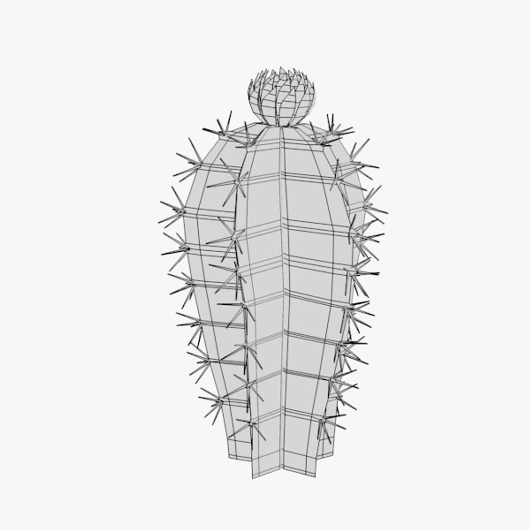 3d cactuses https://p.turbosquid.com/ts-thumb/Vx/KzVTo2/WkaH3Ggl/cactus01w/jpg/1325864404/1920x1080/fit_q87/5b9385461e8c2a0326ce959d86c3b29285671f45/cactus01w.jpg
