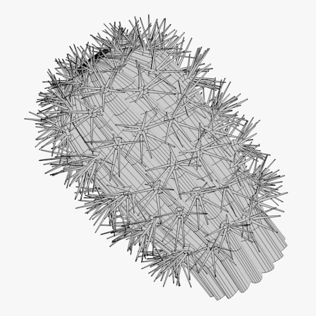 3d cactuses https://p.turbosquid.com/ts-thumb/Vx/KzVTo2/bXHCfvyY/cactus03w2/jpg/1325864481/1920x1080/fit_q87/6a67e1480aa0968e2c9297122920d50d589cd1df/cactus03w2.jpg