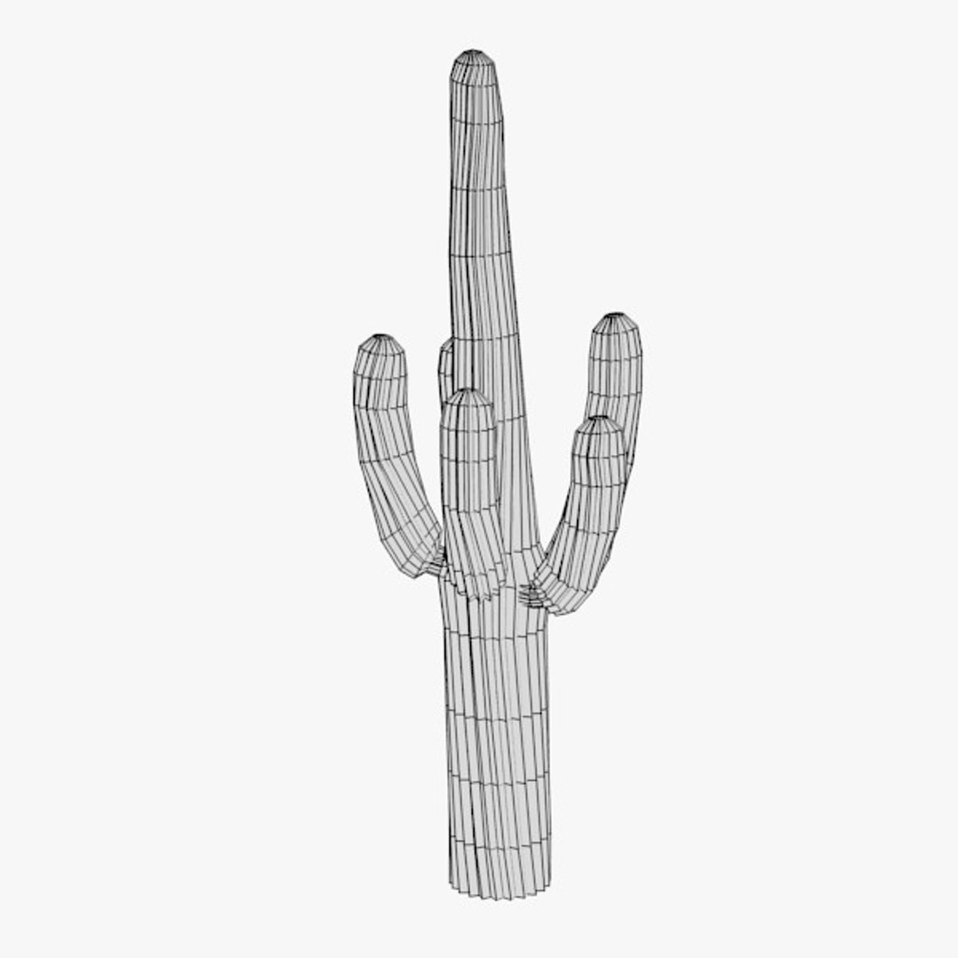 3d cactuses https://p.turbosquid.com/ts-thumb/Vx/KzVTo2/cVdTbXXn/cactus05w2/jpg/1325864544/1920x1080/fit_q87/a373af6e147f430d6f844e5360c181323853d787/cactus05w2.jpg