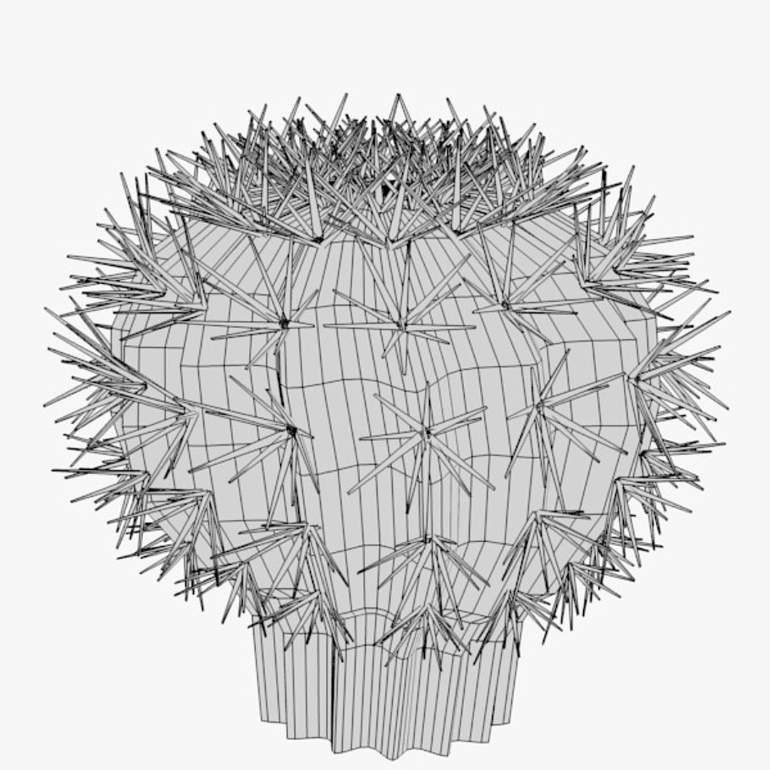 3d cactuses https://p.turbosquid.com/ts-thumb/Vx/KzVTo2/dT75cBJZ/cactus02w/jpg/1325863776/1920x1080/fit_q87/a73a6e7ab813fb9b013d4bd089ee0b0e2347906a/cactus02w.jpg