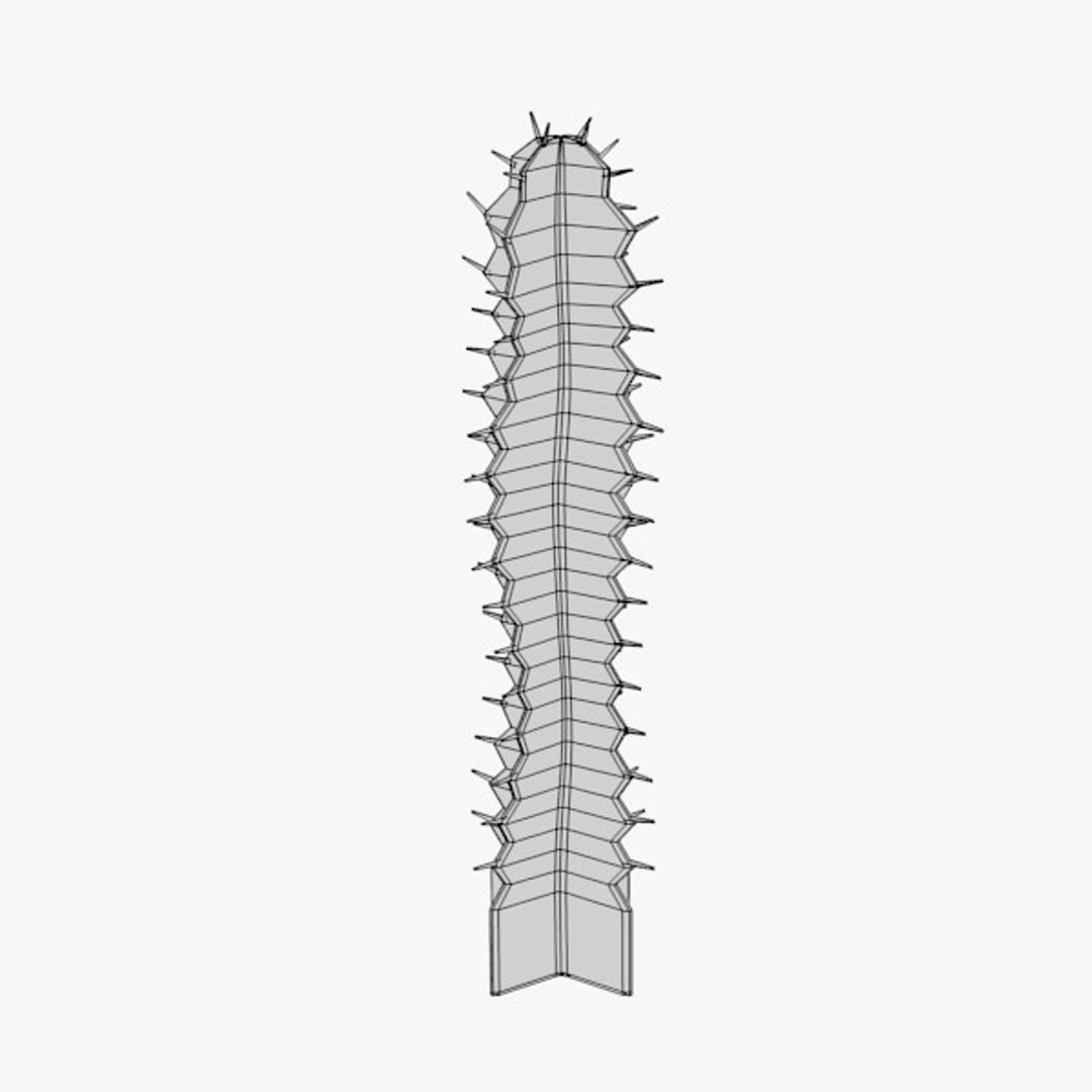 3d cactuses https://p.turbosquid.com/ts-thumb/Vx/KzVTo2/iXj6lZ58/cactus04w/jpg/1325864510/1920x1080/fit_q87/706edc9451783003a90bb09a23bd4bd06a8d9c10/cactus04w.jpg