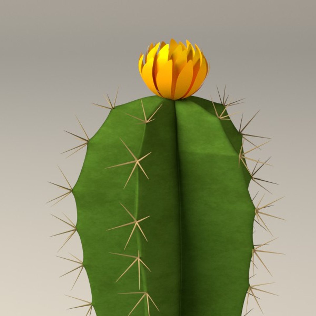 3d cactuses https://p.turbosquid.com/ts-thumb/Vx/KzVTo2/koNNbhPt/cactus01b/jpg/1325864401/1920x1080/fit_q87/a2ce36159077d06e5ac2530191d1e1c4dc52209e/cactus01b.jpg