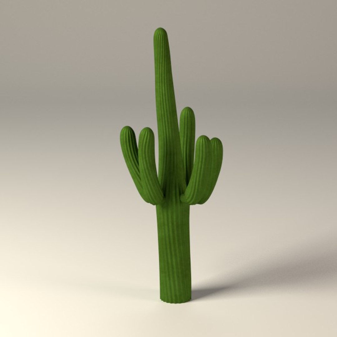 3d cactuses https://p.turbosquid.com/ts-thumb/Vx/KzVTo2/mqNDy65w/cactus05/jpg/1325864531/1920x1080/fit_q87/06e13735cc2e64cadb1f73abe7dc5e7f032e7521/cactus05.jpg