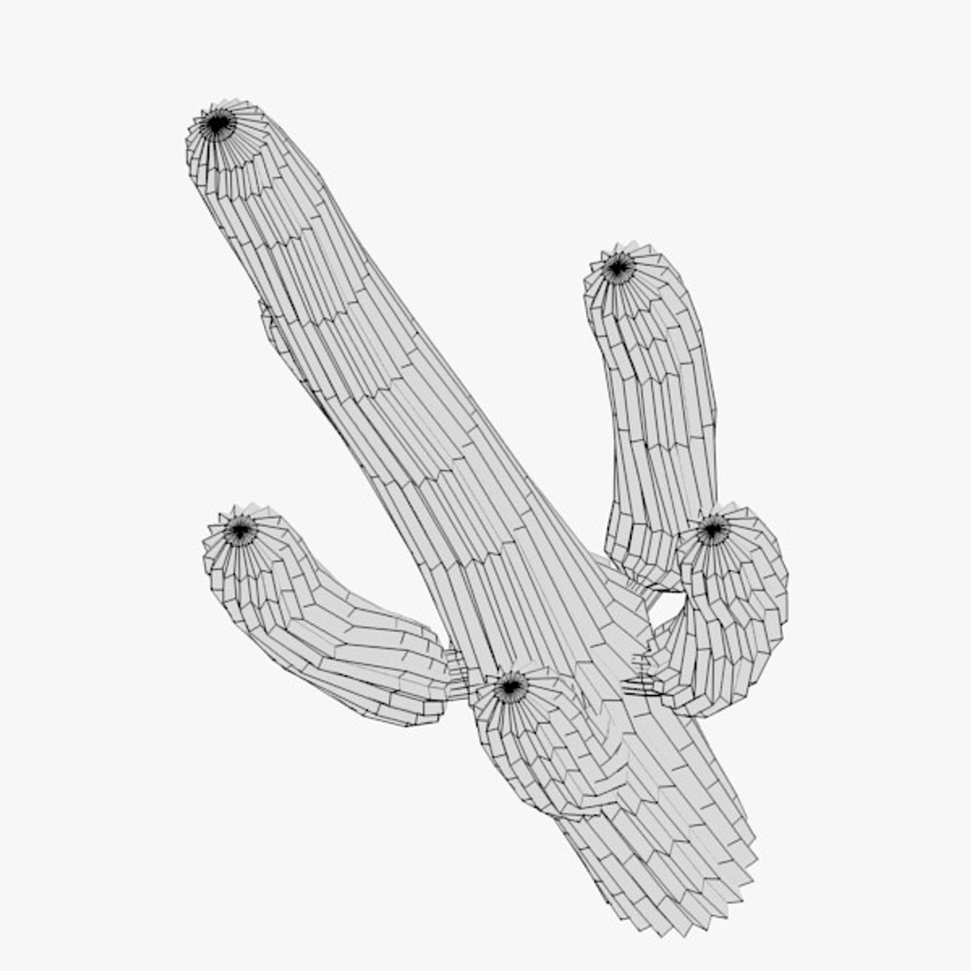 3d cactuses https://p.turbosquid.com/ts-thumb/Vx/KzVTo2/qSrCREO5/cactus05w3/jpg/1325864550/1920x1080/fit_q87/202d34870f00c7992982c3f77f87de15f705564a/cactus05w3.jpg