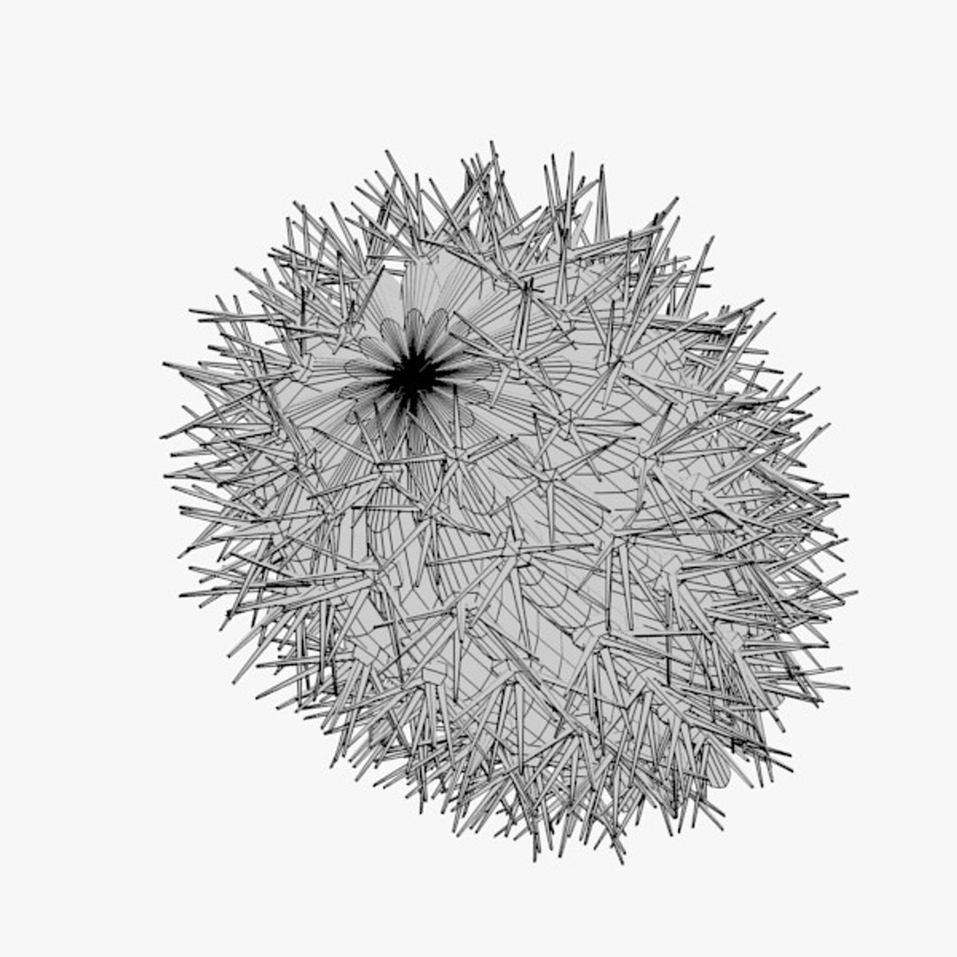 3d cactuses https://p.turbosquid.com/ts-thumb/Vx/KzVTo2/sKJ9xUNQ/cactus03w3/jpg/1325864488/1920x1080/fit_q87/9fb5c672cc0ed3660e845ec5135a09f7f5412751/cactus03w3.jpg
