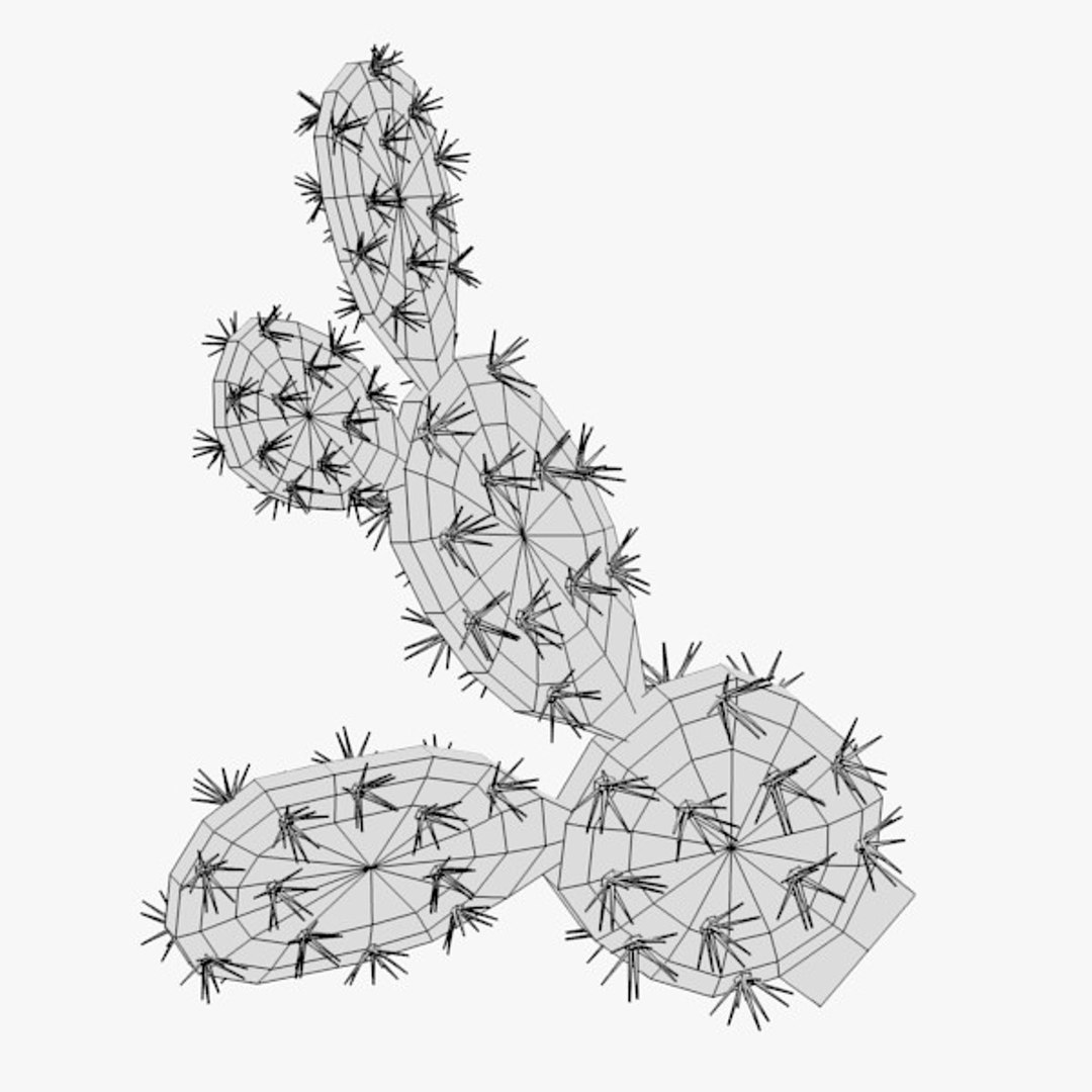 3d cactuses https://p.turbosquid.com/ts-thumb/Vx/KzVTo2/tpFmYZYN/cactus06w3/jpg/1325864582/1920x1080/fit_q87/c2adfee25c8c880518e732d42200cfc932a2656f/cactus06w3.jpg