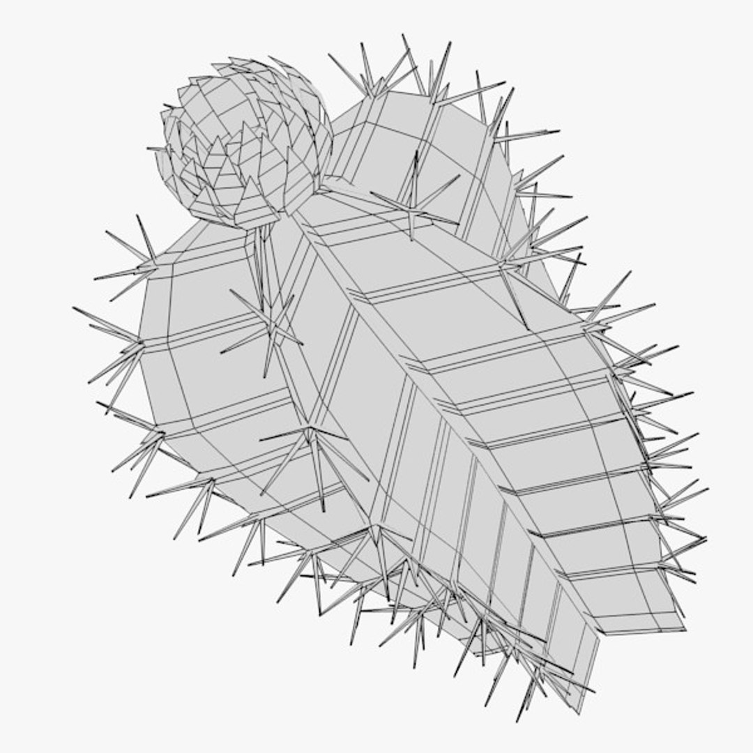 3d cactuses https://p.turbosquid.com/ts-thumb/Vx/KzVTo2/tr5Zo8jA/cactus01w2/jpg/1325864414/1920x1080/fit_q87/8aa06b9179c7e24fd070fb7bf33fb65b4b2a0227/cactus01w2.jpg